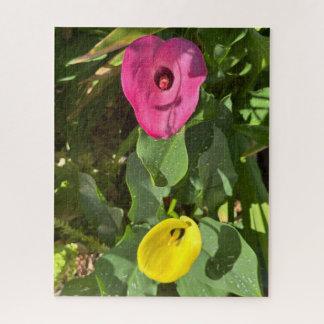 Roze en Gele Calla Lily, San Mateo Legpuzzel