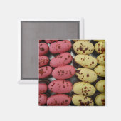 roze en gele chocoladeboten magneet (Voorkant / Achterkant)