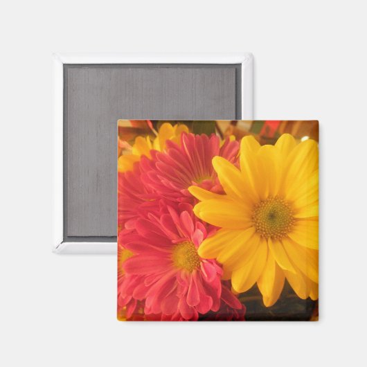 Roze en gele dagen magneet (Voorkant / Achterkant)