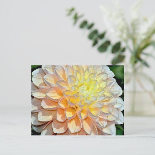 Roze en gele dahlia briefkaart (Staand voorkant)