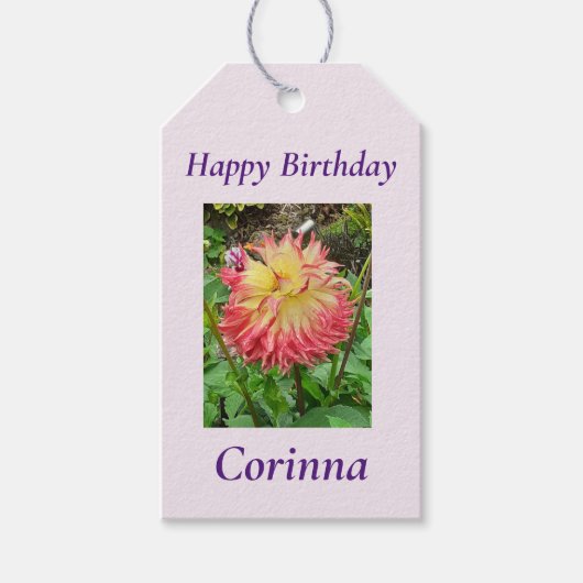 Roze en gele Dahlia Cadeaulabel (Voorkant)