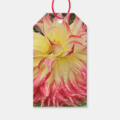 Roze en gele Dahlia Cadeaulabel (Voorkant)