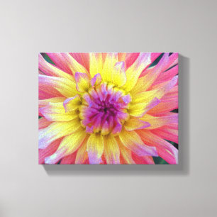 Roze en Gele Dahlia Canvas Afdruk
