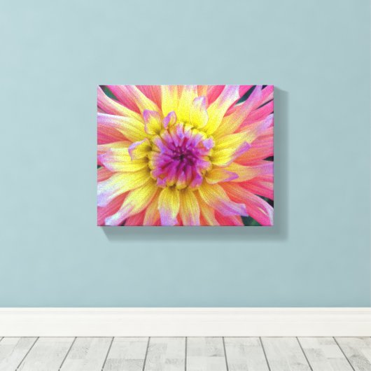 Roze en Gele Dahlia Canvas Afdruk (Insitu (Houten vloer))