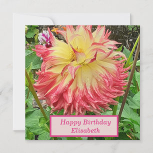 Roze en gele Dahlia Flat Birthday-kaart Kaart