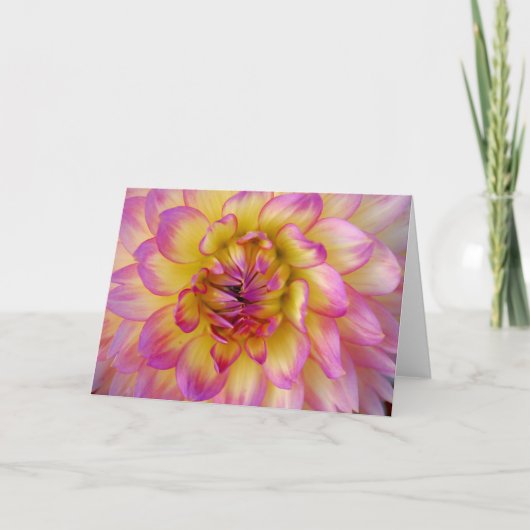 roze en gele dahlia kaart (Voorkant)