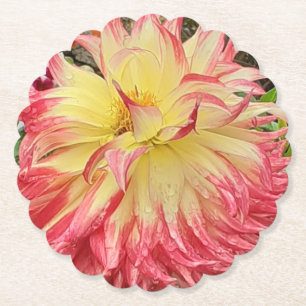 Roze en gele Dahlia Kartonnen Onderzetters