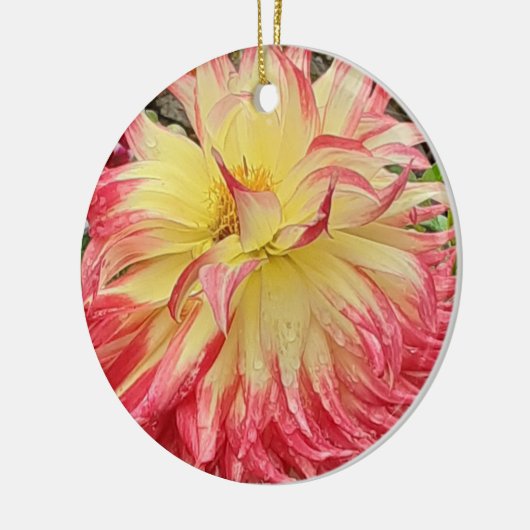 Roze en Gele Dahlia keramische siervoorwerpen Keramisch Ornament (Links)