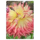 Roze en gele Dahlia Klembord (Achterkant)
