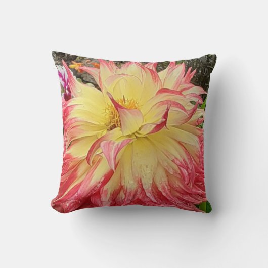 Roze en gele Dahlia Kussen (Voorkant)