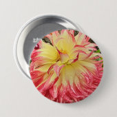 Roze en gele Dahlia Ronde Button 7,6 Cm (Voorkant /achterkant)