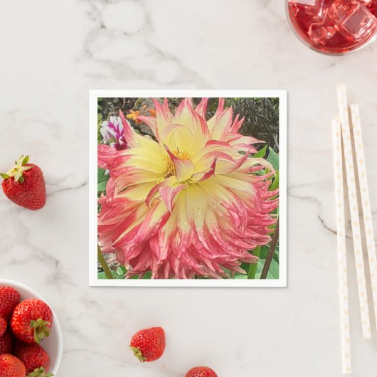 Roze en gele Dahlia Servet (Insitu)