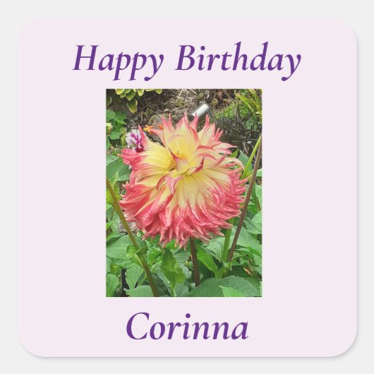 Roze en gele Dahlia Vierkante Sticker (Voorkant)