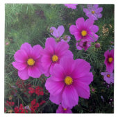 Roze en gele Daisy Flowers Ceramic Tile Tegeltje (Voorkant)