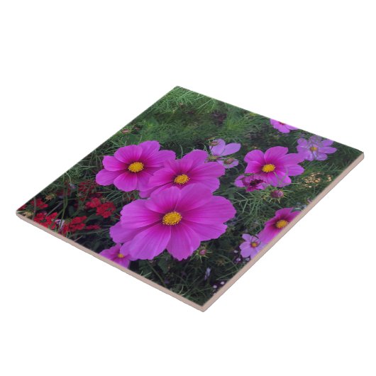 Roze en gele Daisy Flowers Ceramic Tile Tegeltje (Zijkant)