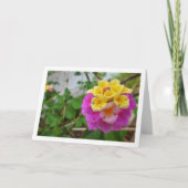 Roze en gele Lantana-bloemen Kaart (Voorkant)