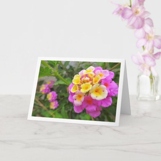 Roze en gele Lantana Flowers Kaart (Orchidee)
