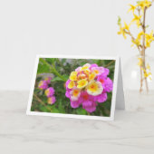 Roze en gele Lantana Flowers Kaart (Gele Bloem)