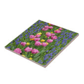 Roze en gele lentuslippen tegeltje (Zijkant)