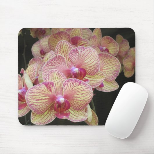 Roze en gele moth Orchid Mousepad Muismat (Met muis)