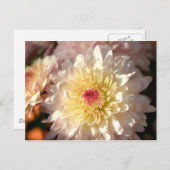 Roze en Gele Mums Briefkaart (Voorkant / Achterkant)