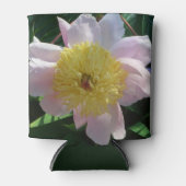 Roze en Gele Pioenen Mooie Bloemen Blikjeskoeler (Voorkant)