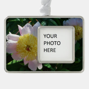 Roze en Gele Pioenen Mooie Bloemen Verzilverd Omlijst Ornament
