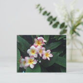  roze en gele pruimen foto briefkaart (Staand voorkant)