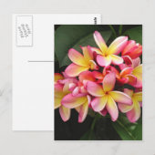 Roze en gele pruimen Tropische Bloemen Briefkaart (Voorkant / Achterkant)
