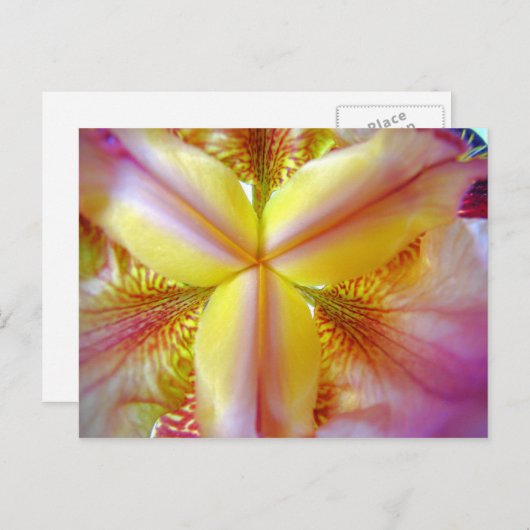 Roze en gele ris Inside Briefkaart (Voorkant / Achterkant)