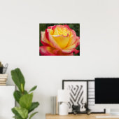 Roze en Gele Roos Bloemfotografie Poster (Thuiskantoor)