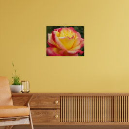 Roze en Gele Roos Bloemfotografie Poster