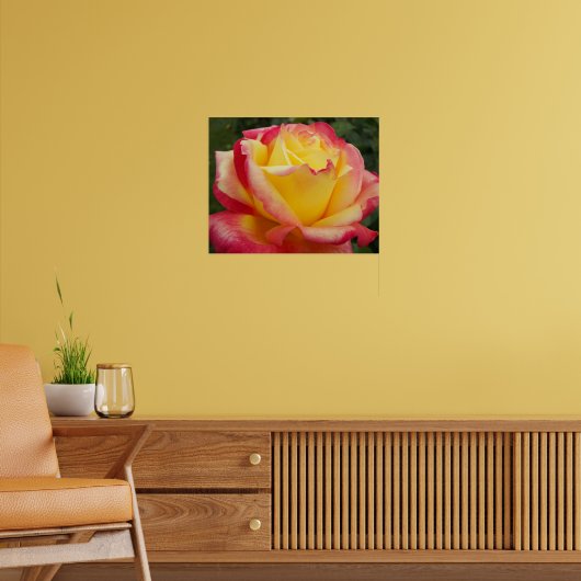 Roze en Gele Roos Bloemfotografie Poster (Woonkamer 2)