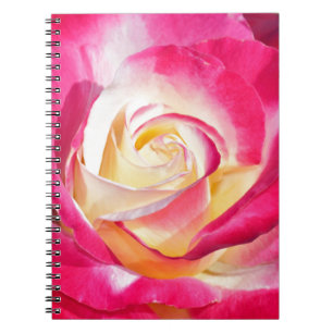 Roze en gele roos notitieboek
