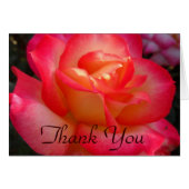 Roze en Gele Rose Dank u (Voorkant Horizontaal)