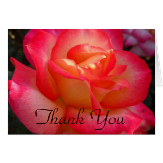 Roze en Gele Rose Dank u