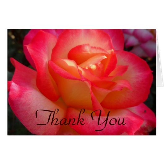 Roze en Gele Rose Dank u (Voorkant Horizontaal)