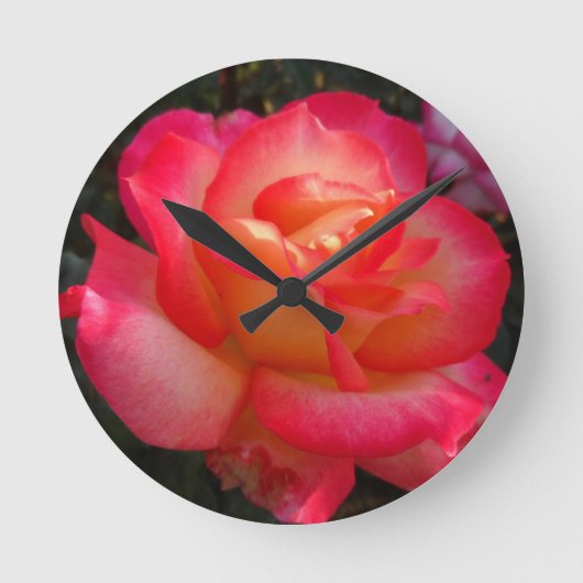 Roze en Gele Rose Ronde Klok (Voorkant)