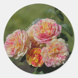 Roze en gele rozen ronde sticker
