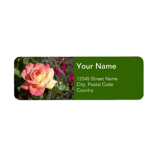 roze en gele rozenbloem, aangepast etiket (Voorkant)