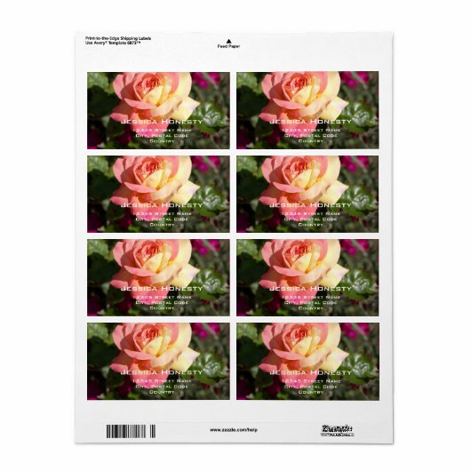  roze en gele rozenbloem, aangepast etiket (Full Sheet)