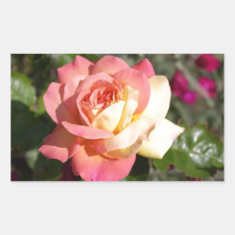  roze en gele rozenbloem. Floral Rechthoekige Sticker