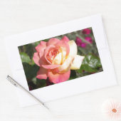 roze en gele rozenbloem. Floral Rechthoekige Sticker (Envelop)
