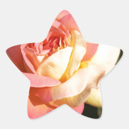  roze en gele rozenbloem. Floral Ster Sticker