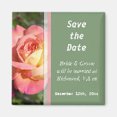  roze en gele rozenbloem met uitzondering van de d magneet (Voorkant)