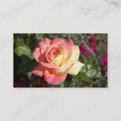  roze en gele rozenbloem visitekaartje (Achterkant)