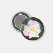 Roze en Gele Rozenmagneet Magneet (Voorkant / Achterkant)