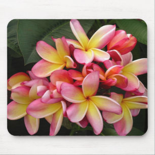 Roze en gele Tropische Plumeria Flowers Muismat