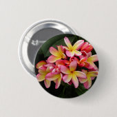 Roze en gele Tropische Plumeria Flowers Ronde Button 5,7 Cm (Voorkant /achterkant)