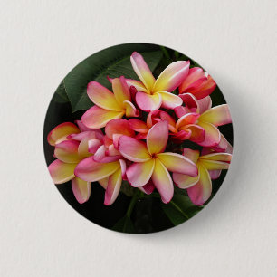Roze en gele Tropische Plumeria Flowers Ronde Button 5,7 Cm